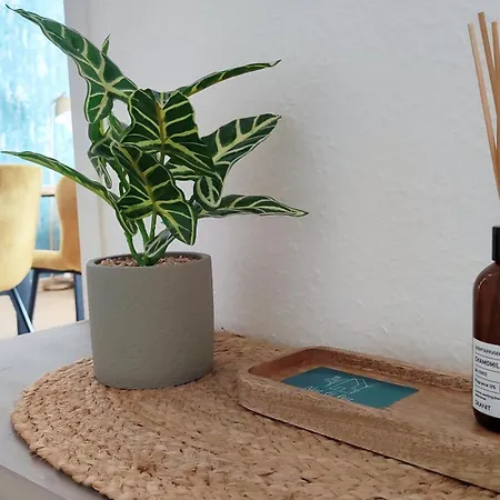 아파트 Im Herzen Der Kurstadt, Balkon, Kueche, Blick Ins Gruene, Radfreundlich 바트 슈미데베르크